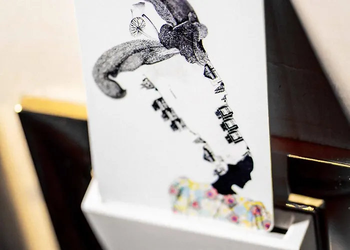 卡萨德菲奥里酒店 4*