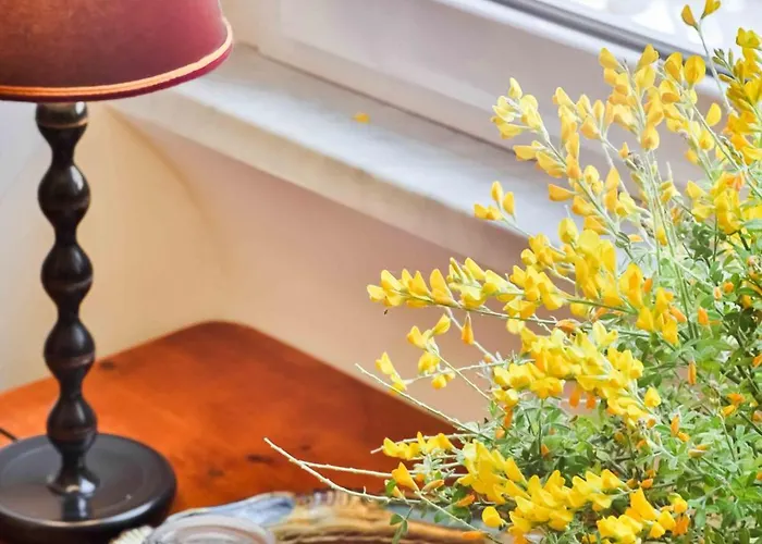 卡萨德菲奥里酒店 4* 罗马